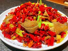 -福苗小骆驼烧烤(中关村店)
