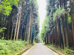 -山王坪喀斯特国家生态公园