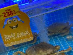 -七欣天香辣蟹火锅(南京桥北太平店)