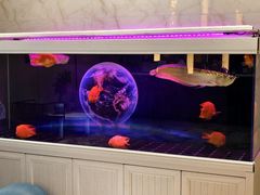 -格林东方酒店(北京国贸四惠高碑店地铁站店)