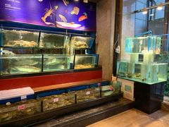 水产区-许家菜(望江店)