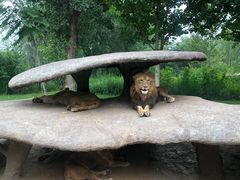 -北京野生动物园