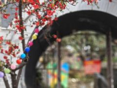-桃源山庄·水蜜桃采摘·柴火鸡·烧烤团建(龙泉山店)