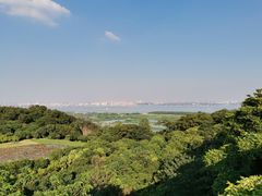 -广州莲花山旅游区