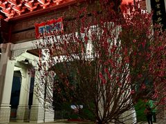 -均和墟历史街区-平和大押