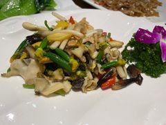 花生苗螺片-周锦记广式餐厅