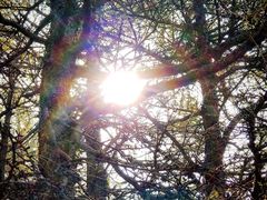 -白草畔自然风景区