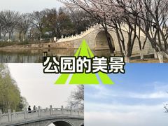 -月湖风景区