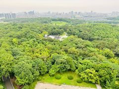 -宜兴龙背山森林公园