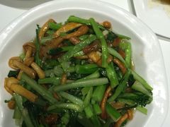 -明泉特特(军工店)