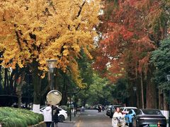 -浙江大学(玉泉校区)