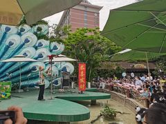 -灵玲国际马戏城