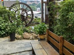 -慢丽江·云南野生菌土鸡锅(付家庄店)