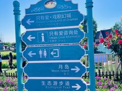 -荷兰花海