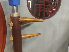 -温鉴良实用咏春拳