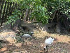 -昆明动物园