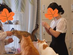 -平行世界·猫咖(首经贸店)