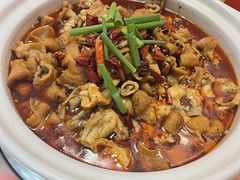 -川大刘肥肠鸡(北国店)