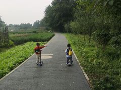 -桤木河湿地公园