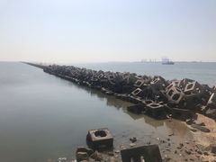 -东疆建设开发纪念公园