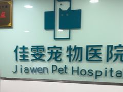 -佳雯宠物医院·皮肤科·内外科(春晓路分院)