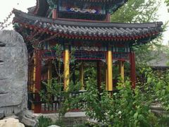 android_upload_pic-上海佘山国家森林公园西佘山园