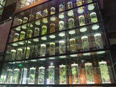 -广东中医药博物馆