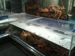 -馬車會海鮮酒樓