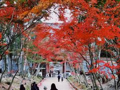 -醍醐寺