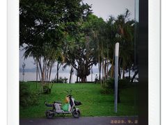 -深圳湾公园(南山区)