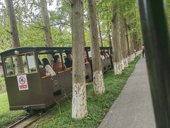 -黄海国家森林公园