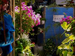 -双季花艺园艺市场(浦东店)