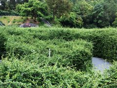 -大屏嶂森林公园