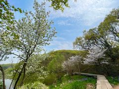 -南山风景名胜区