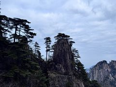 -高一点·徽味酥饼王·黄山烧饼