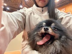 -和它·交个朋友·狗咖猫咖(爱琴海店)