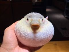 -永安鱼庄·镇江菜(丁卯店)