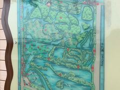 -大湾区中央湿地公园