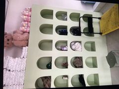 -怪兽屋·羊驼·猫咖·狗咖(俊华广场店)