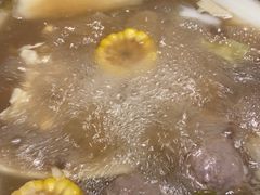-掂档潮汕牛肉火锅(沈阳万象城店)
