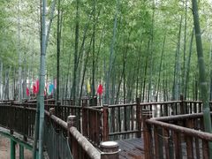 -陶祖圣境风景区