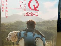 -瑞派天宁宠物医院·猫科·异宠中心