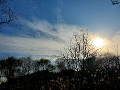 -西湖风景区-江洋畈生态公园