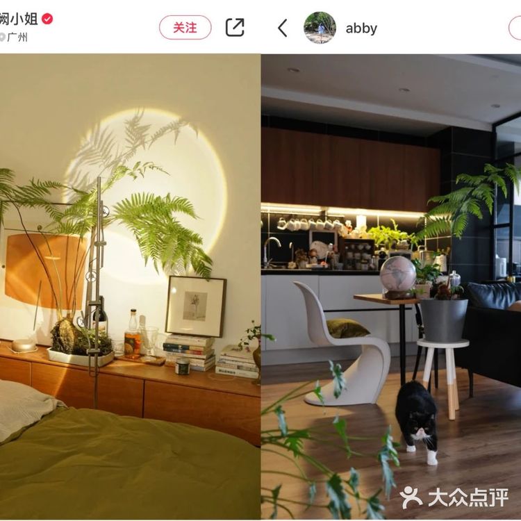 从不用拼夕夕的我，为了这6款植物冲了！
