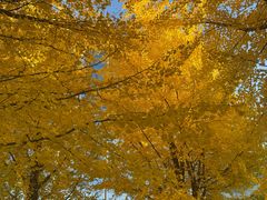 -锦江富园大酒店-游泳馆