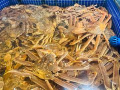 -东海怡品海鲜豆捞(舟宿夜江店)