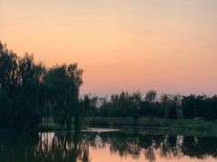 -东郊湿地公园