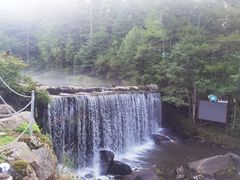 -汤旺河林海奇石景区