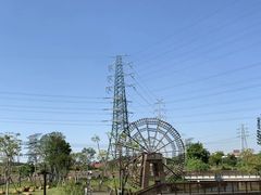 -王借岗森林公园