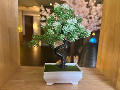 -沁竹舍影院足道·SPA·采耳